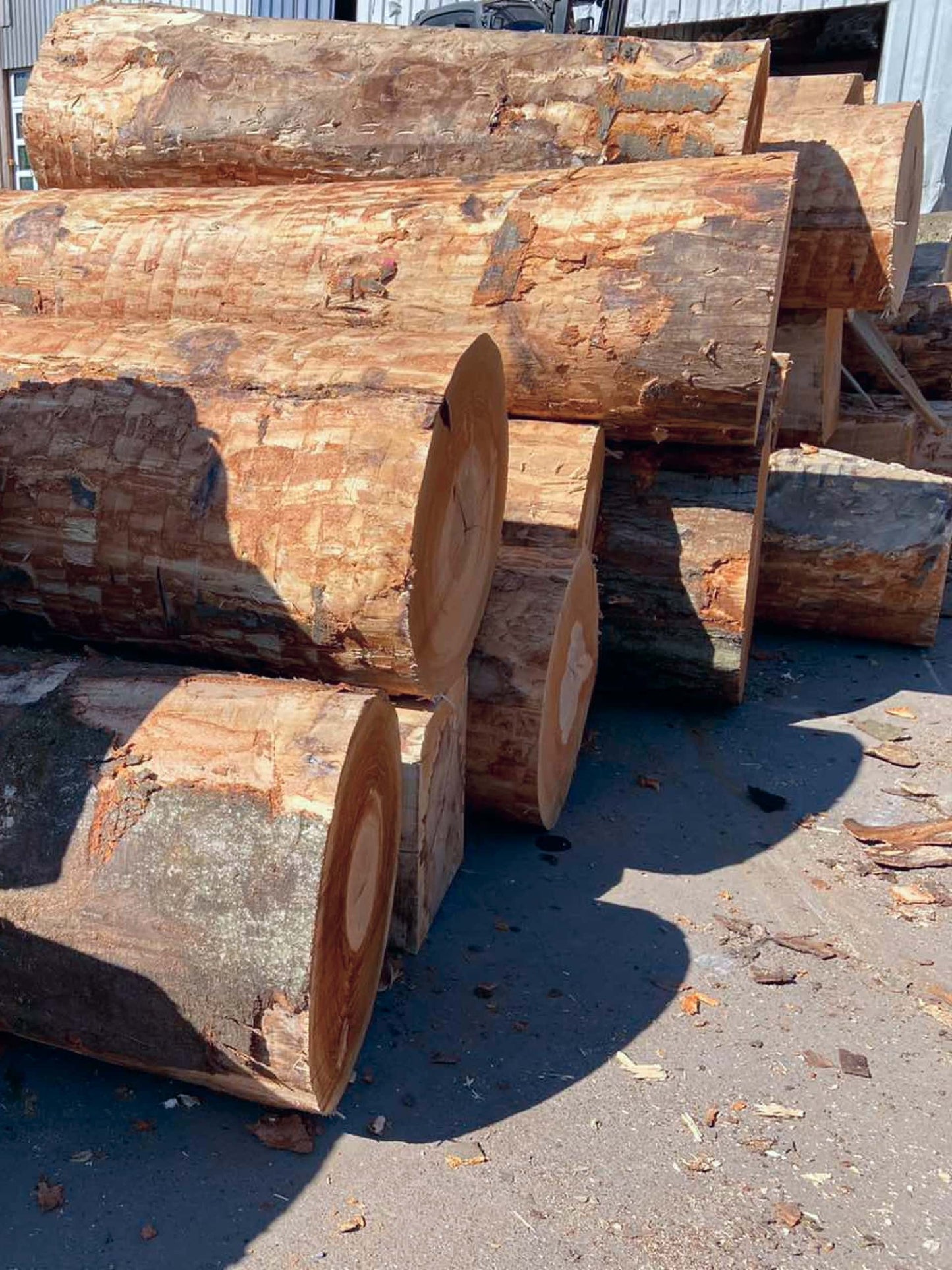 Buchenscheitholz – ofenfertig – Premium Auslese - Brennholz