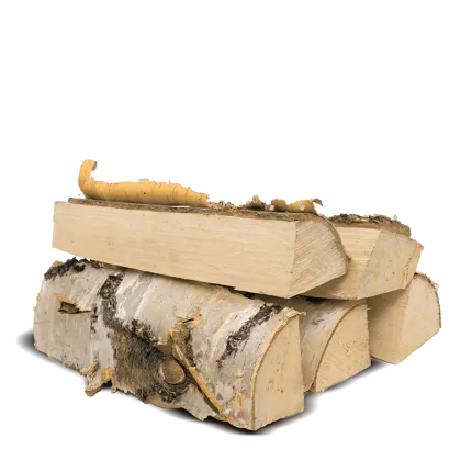 Brennholz Birke 1 RM 500 kg Heizwert: ≥ 4,2 kWh/kg  Asche: ≤ 0,5%